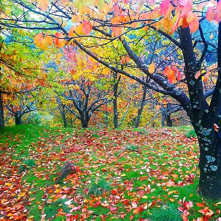 La Albarea By #Cherrygredos 엘아레날 외부 사진