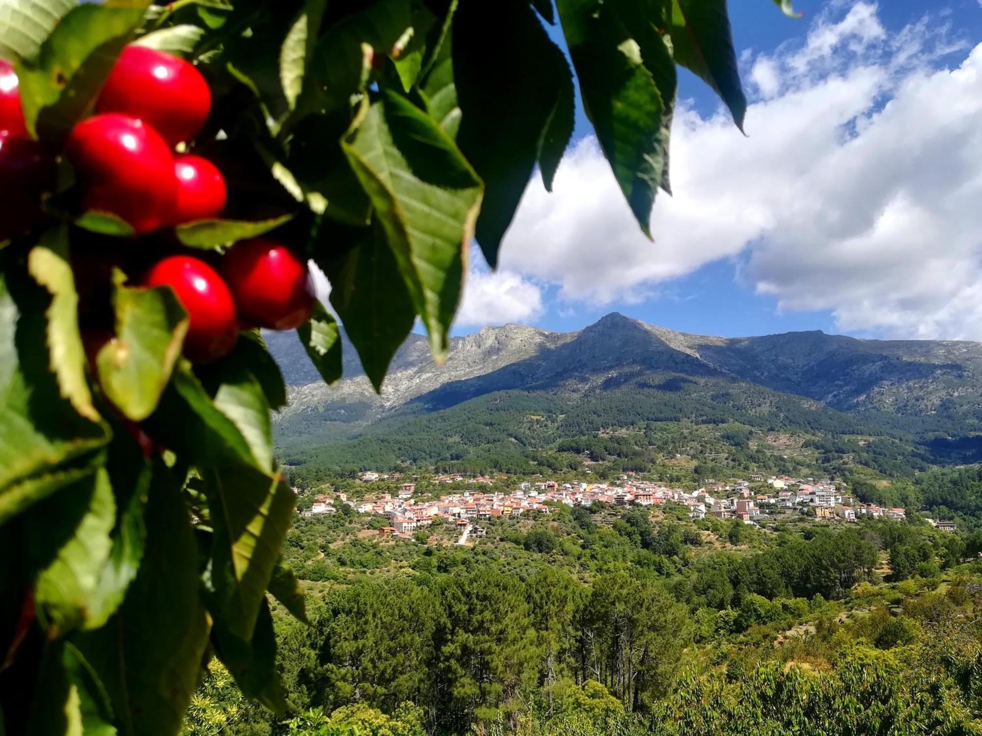 La Albarea By #Cherrygredos 엘아레날 외부 사진