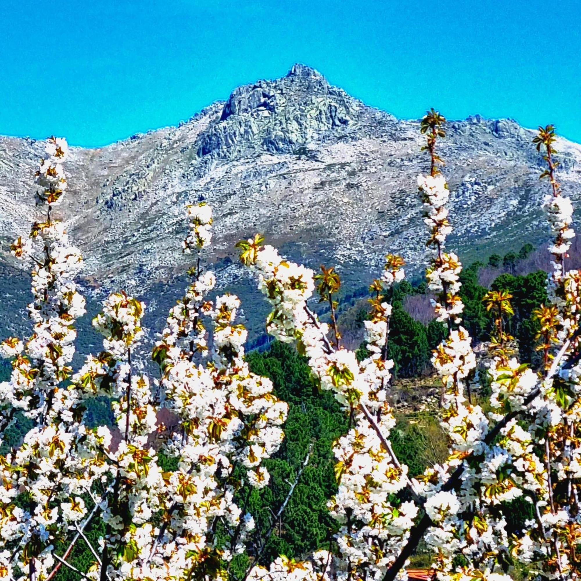 La Albarea By #Cherrygredos 엘아레날 외부 사진